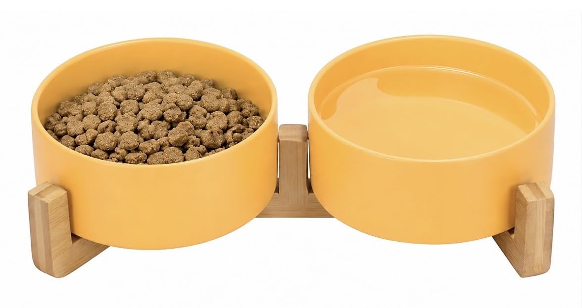 Ceramic Cat and Small Dog Bowl Set – Modern Indoor Small Size Pet Food and Water Bowls with Wood Stand – Non Slip Puppy Sized Feeding Station with Double Dishes (White)