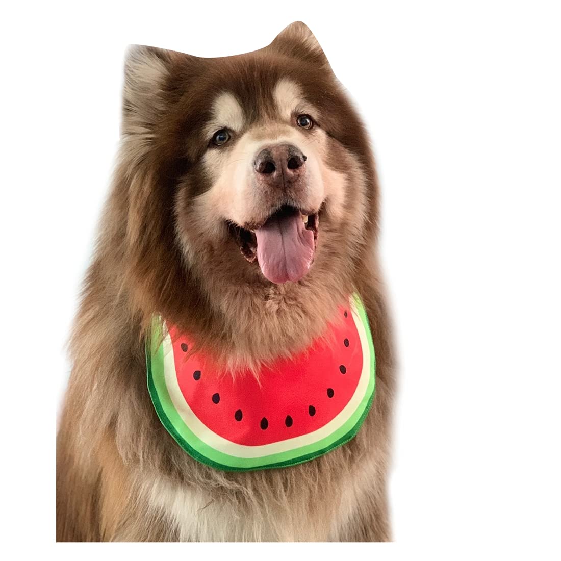 Pet Dog Bandana Cartoon Watermelon Neckerchief Costume Accessory Summer Waterproof Bib for Medium & Large DogsGolden Retriever Alaskan Samoyed