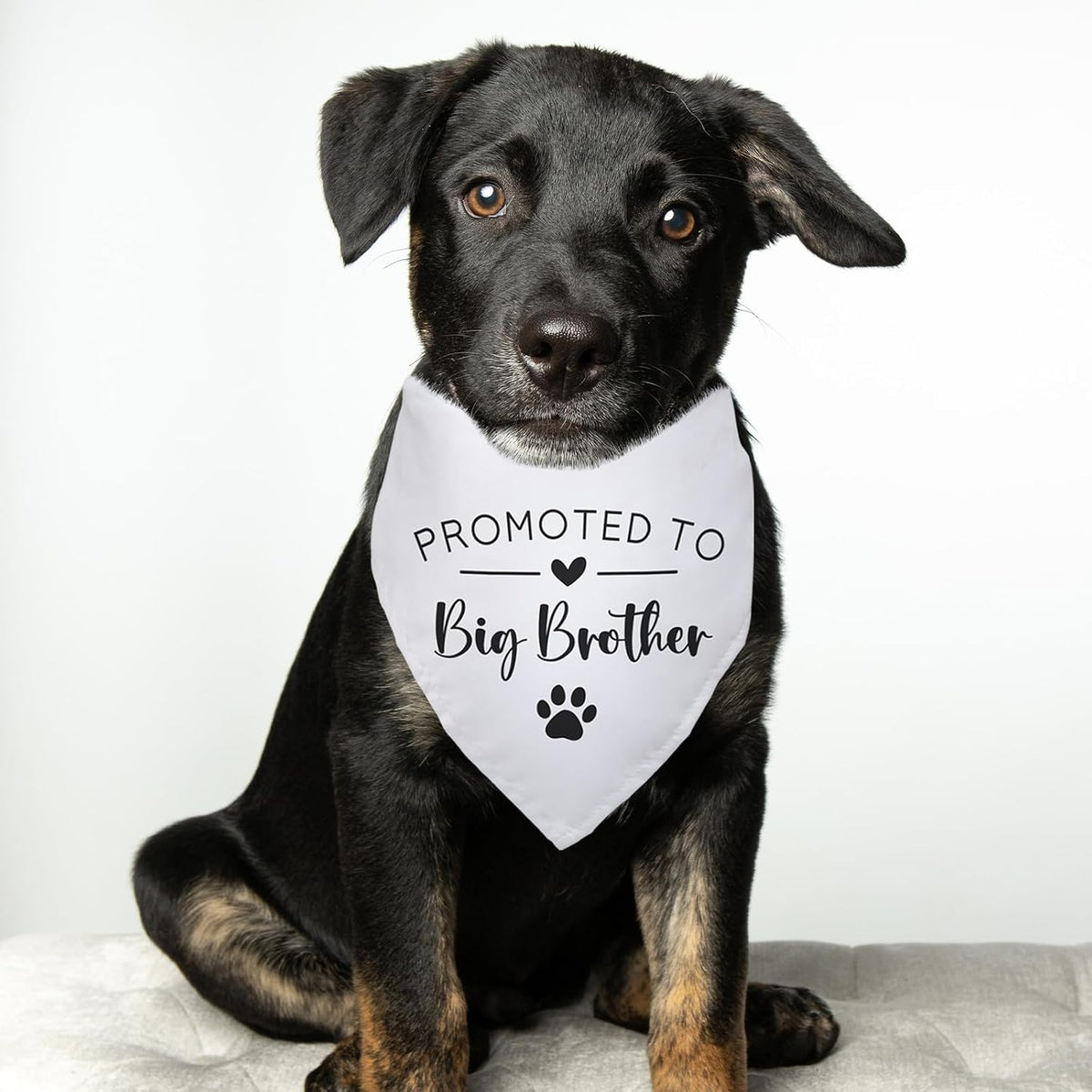 Promoted to Big Brother White Pet Dog Bandanas Triangle Scarf Bandanas Bibs Birthday Party Props Gender Revealing Photo Props Accessories for Pet Dog Lovers Gifts
