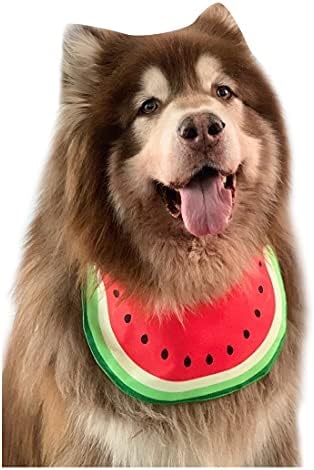 Pet Dog Bandana Cartoon Watermelon Neckerchief Costume Accessory Summer Waterproof Bib for Medium & Large DogsGolden Retriever Alaskan Samoyed