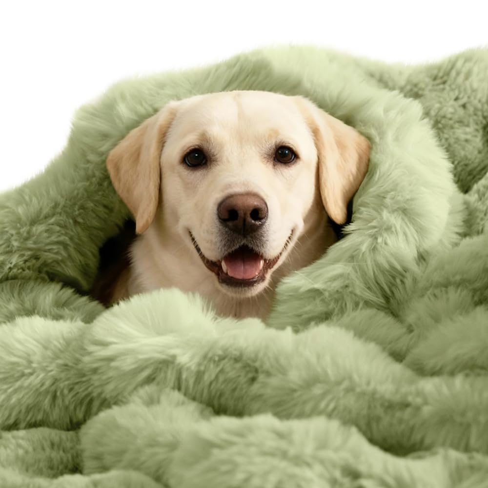 SOMAHE Soft Faux Fur Cat Blanket, Washable, Small 22x18 Fruit Green