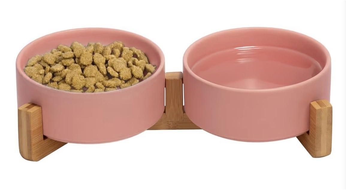 Ceramic Cat and Small Dog Bowl Set – Modern Indoor Small Size Pet Food and Water Bowls with Wood Stand – Non Slip Puppy Sized Feeding Station with Double Dishes (White)