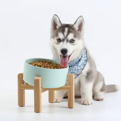 Petygooing Black Raised/Elevated 15°Slanted Ceramic Dog Bowl for Small Breeds,Tilted Anti Slip Pet Feeding Bowl,Food Water Dish with Stand for Cats and Small Dogs Puppy 13.5 OZ (5.1In /1.7 Cups)