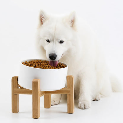 Petygooing Black Raised/Elevated 15°Slanted Ceramic Dog Bowl for Small Breeds,Tilted Anti Slip Pet Feeding Bowl,Food Water Dish with Stand for Cats and Small Dogs Puppy 13.5 OZ (5.1In /1.7 Cups)