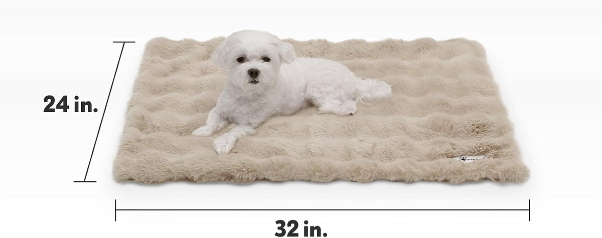 Paw Inspired Waterproof Dog Blanket, 32x24 Inch Size, Beige