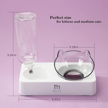 Marchul Double Elevated Dog Cat Bowl, Pets Water and Food Bowl Set, 15° Raised Tilted Dishes Indoor for Kitten, Puppies, Small or Medium Size Dogs Cats