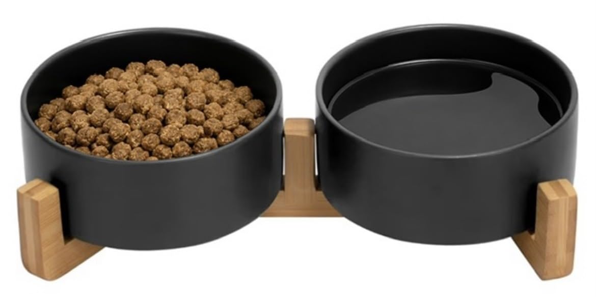 Ceramic Cat and Small Dog Bowl Set – Modern Indoor Small Size Pet Food and Water Bowls with Wood Stand – Non Slip Puppy Sized Feeding Station with Double Dishes (White)