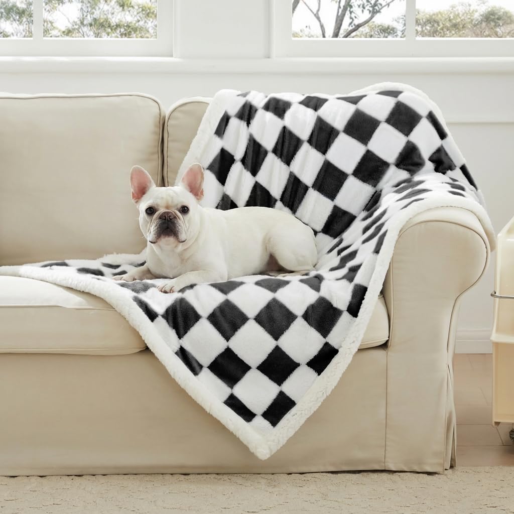 Ohocut Checkered Dog Blanket, Sage Green Jacquard Sherpa Blankets for Small Dog and Cats, Cute Aesthetic Style Fluffy Fleece Pets Blanket for Couch Protection Washable, 25"x35"