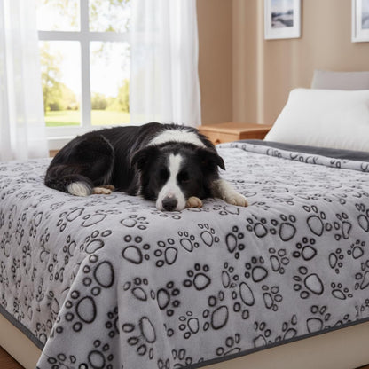 Stuffed® Premium Soft Dog Blanket Washable, 40"x32" Cat Blanket for Indoor Cats Large Medium Small Dog Puppy Essentials (Grey)