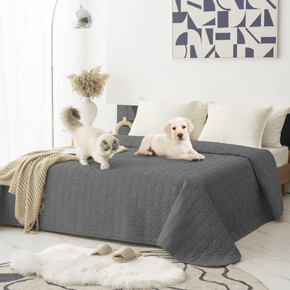 Tcksstex Waterproof Blanket Couch Cover for Dogs Pet Sofa Protector