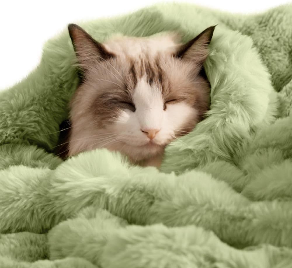 SOMAHE Soft Faux Fur Cat Blanket, Washable, Small 22x18 Fruit Green