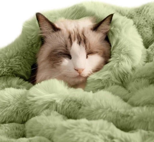 SOMAHE Soft Faux Fur Cat Blanket, Washable, Small 22x18 Fruit Green