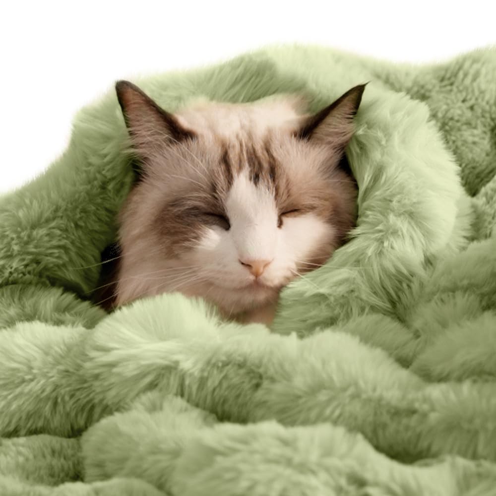 SOMAHE Soft Faux Fur Cat Blanket, Washable, Small 22x18 Fruit Green