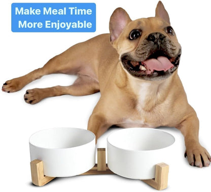 Ceramic Cat and Small Dog Bowl Set – Modern Indoor Small Size Pet Food and Water Bowls with Wood Stand – Non Slip Puppy Sized Feeding Station with Double Dishes (White)