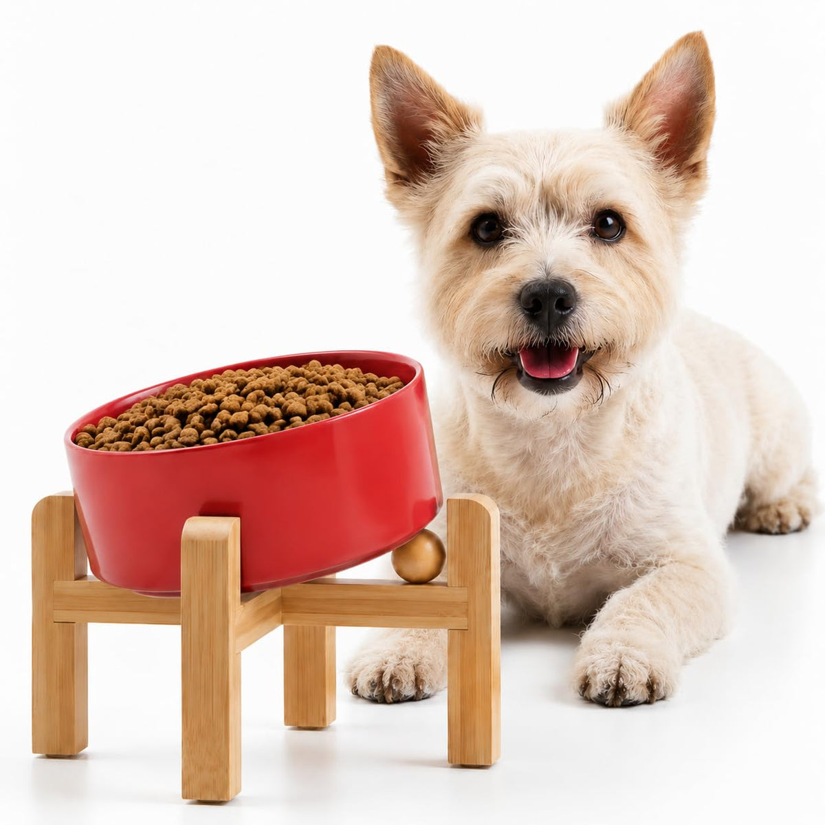 Petygooing Black Raised/Elevated 15°Slanted Ceramic Dog Bowl for Small Breeds,Tilted Anti Slip Pet Feeding Bowl,Food Water Dish with Stand for Cats and Small Dogs Puppy 13.5 OZ (5.1In /1.7 Cups)