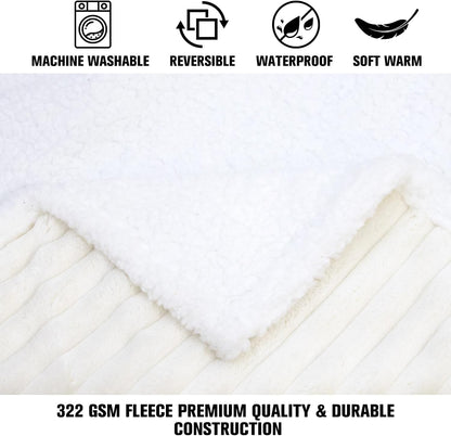 Waterproof Dog Blanket Soft Pet Cat Blanket 40x30 in Cream