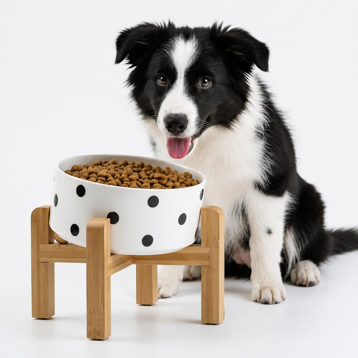 Petygooing Black Raised/Elevated 15°Slanted Ceramic Dog Bowl for Small Breeds,Tilted Anti Slip Pet Feeding Bowl,Food Water Dish with Stand for Cats and Small Dogs Puppy 13.5 OZ (5.1In /1.7 Cups)