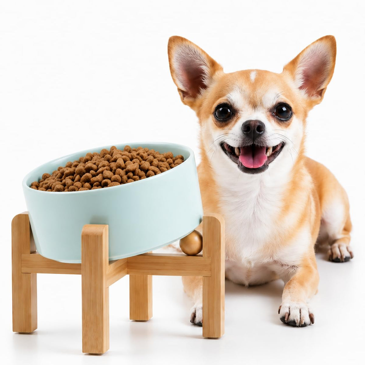 Petygooing Black Raised/Elevated 15°Slanted Ceramic Dog Bowl for Small Breeds,Tilted Anti Slip Pet Feeding Bowl,Food Water Dish with Stand for Cats and Small Dogs Puppy 13.5 OZ (5.1In /1.7 Cups)