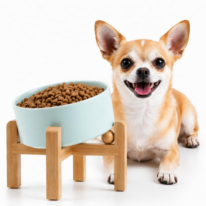 Petygooing Black Raised/Elevated 15°Slanted Ceramic Dog Bowl for Small Breeds,Tilted Anti Slip Pet Feeding Bowl,Food Water Dish with Stand for Cats and Small Dogs Puppy 13.5 OZ (5.1In /1.7 Cups)