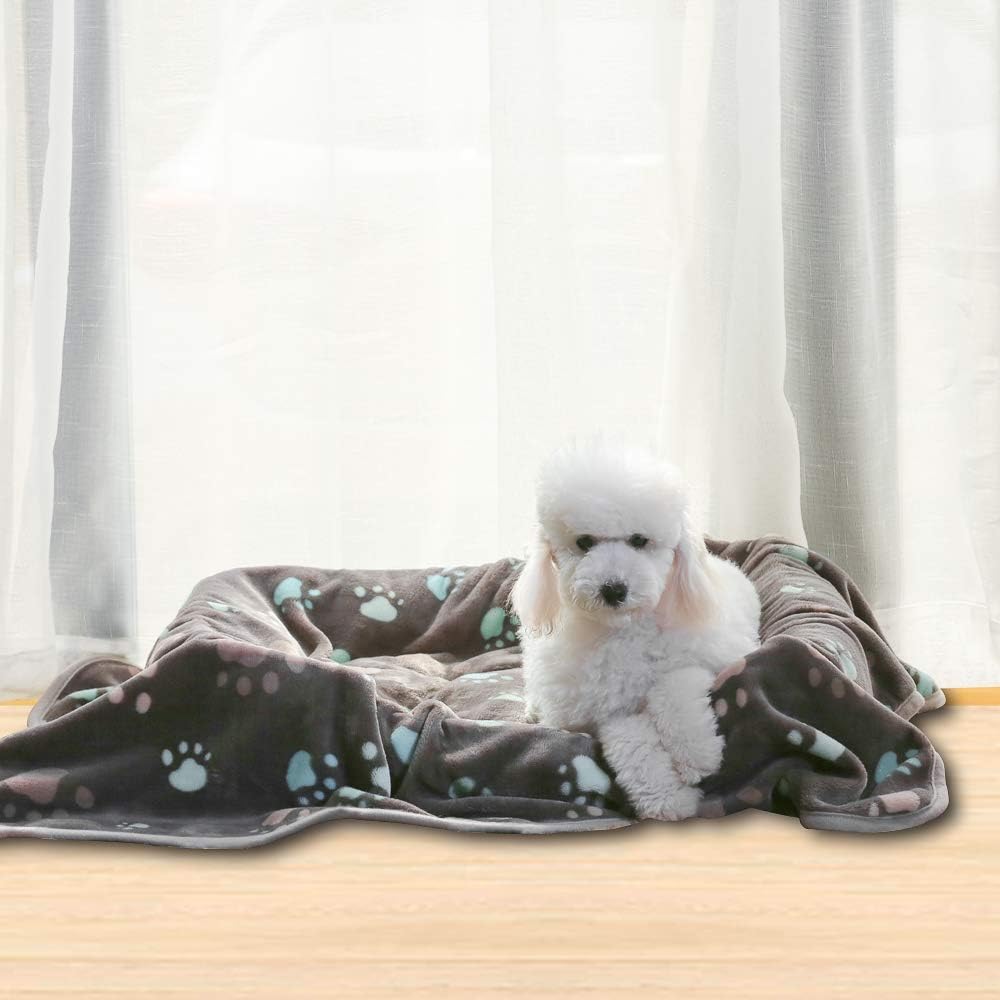 Allisandro 350 GSM-Super Soft and Premium Fuzzy Flannel Fleece Pet Dog Blanket, The Cute Print Design Washable Fluffy Blanket for Puppy Cat Kitten Indoor Outdoor, Grey, 40 x 32 Inches