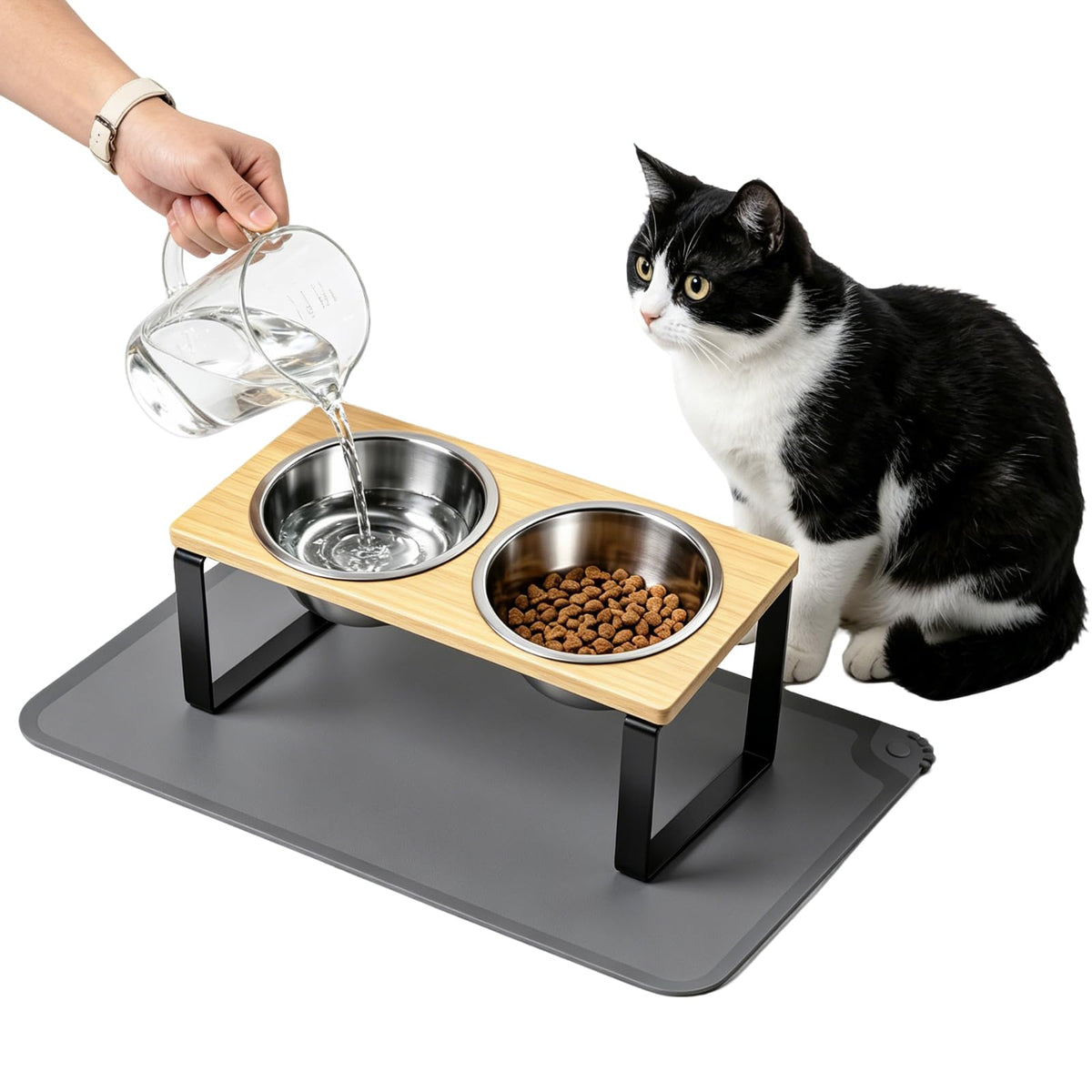 Elevated Tilted Cat Food Bowls with Mat, 304 Stainless Steel 2 Water Bowls