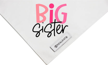 Realeaf Big Brother Big Sister Dog Bandanas Pet Scarf for Medium and Large Dogs New Baby Announcement Pet Accessories Pregnancy Reveal Ideas (X-Large)