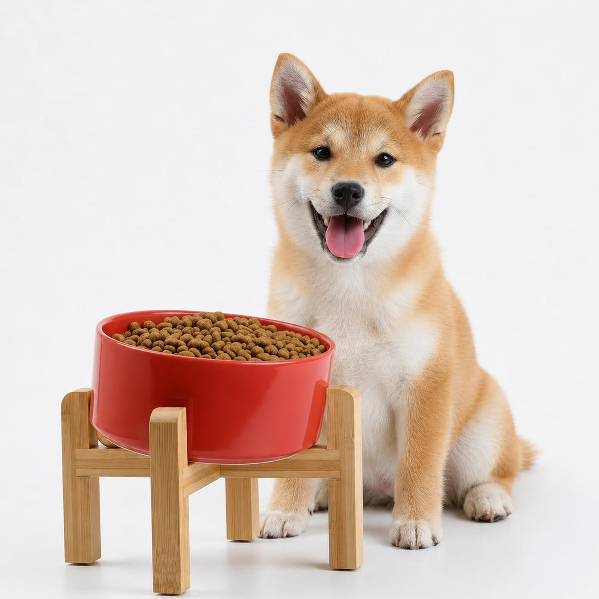 Petygooing Black Raised/Elevated 15°Slanted Ceramic Dog Bowl for Small Breeds,Tilted Anti Slip Pet Feeding Bowl,Food Water Dish with Stand for Cats and Small Dogs Puppy 13.5 OZ (5.1In /1.7 Cups)