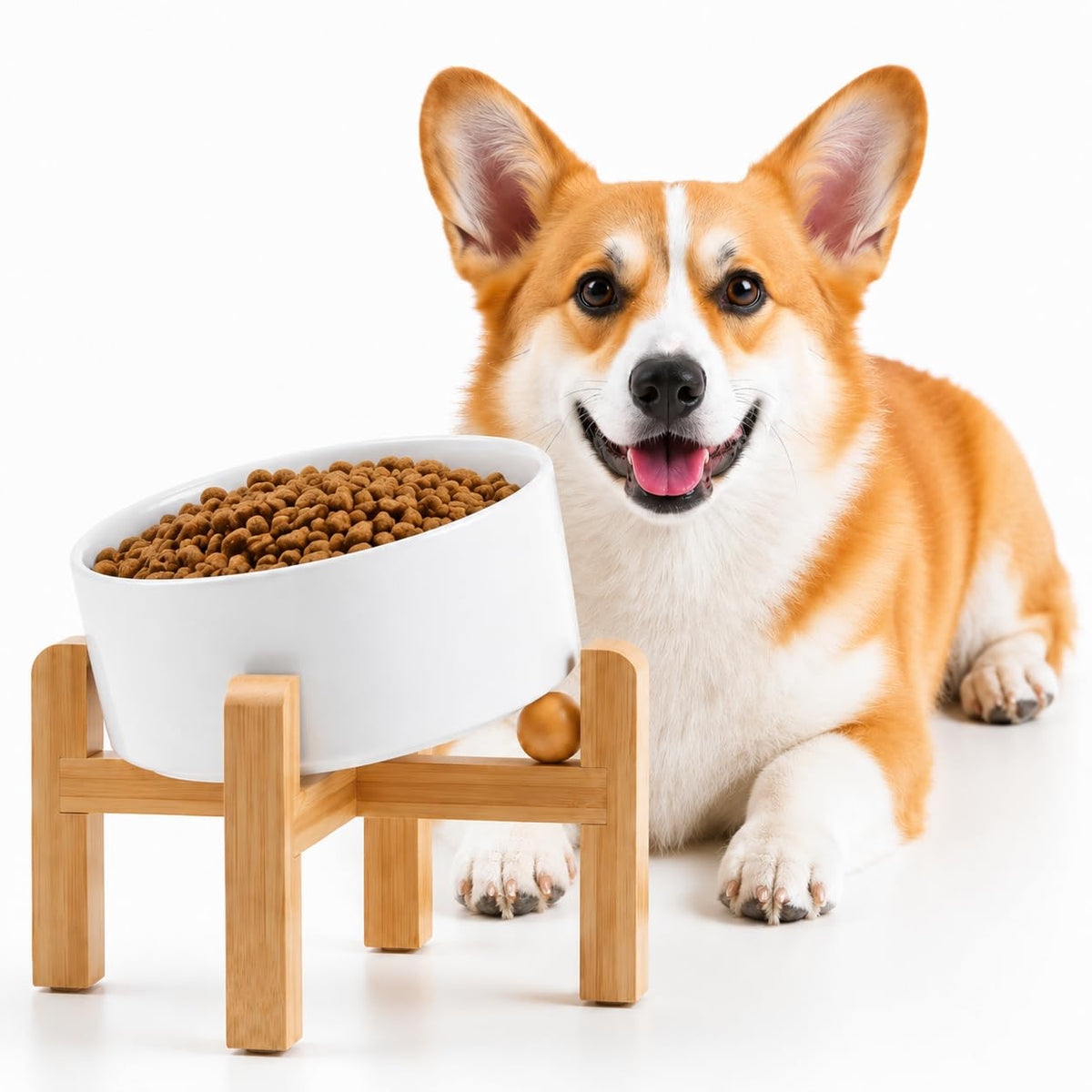 Petygooing Black Raised/Elevated 15°Slanted Ceramic Dog Bowl for Small Breeds,Tilted Anti Slip Pet Feeding Bowl,Food Water Dish with Stand for Cats and Small Dogs Puppy 13.5 OZ (5.1In /1.7 Cups)