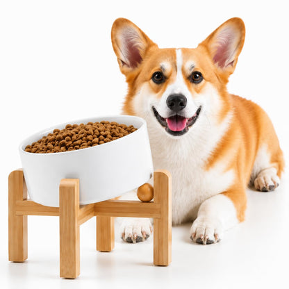 Petygooing Black Raised/Elevated 15°Slanted Ceramic Dog Bowl for Small Breeds,Tilted Anti Slip Pet Feeding Bowl,Food Water Dish with Stand for Cats and Small Dogs Puppy 13.5 OZ (5.1In /1.7 Cups)