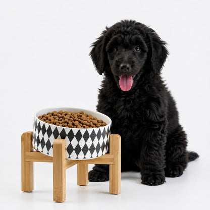 Petygooing Black Raised/Elevated 15°Slanted Ceramic Dog Bowl for Small Breeds,Tilted Anti Slip Pet Feeding Bowl,Food Water Dish with Stand for Cats and Small Dogs Puppy 13.5 OZ (5.1In /1.7 Cups)