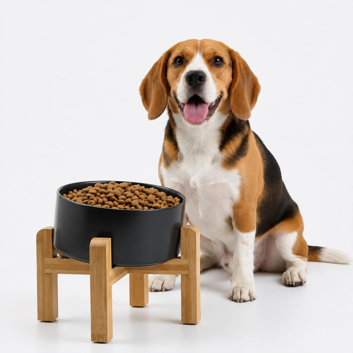 Petygooing Black Raised/Elevated 15°Slanted Ceramic Dog Bowl for Small Breeds,Tilted Anti Slip Pet Feeding Bowl,Food Water Dish with Stand for Cats and Small Dogs Puppy 13.5 OZ (5.1In /1.7 Cups)