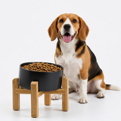 Petygooing Black Raised/Elevated 15°Slanted Ceramic Dog Bowl for Small Breeds,Tilted Anti Slip Pet Feeding Bowl,Food Water Dish with Stand for Cats and Small Dogs Puppy 13.5 OZ (5.1In /1.7 Cups)