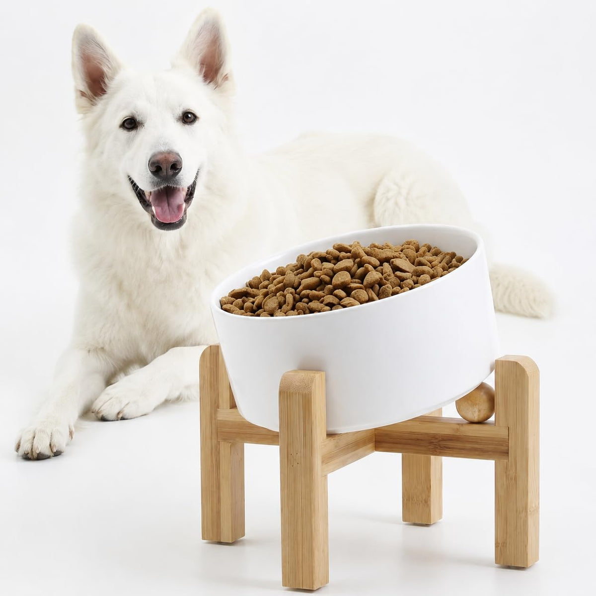 Petygooing Black Raised/Elevated 15°Slanted Ceramic Dog Bowl for Small Breeds,Tilted Anti Slip Pet Feeding Bowl,Food Water Dish with Stand for Cats and Small Dogs Puppy 13.5 OZ (5.1In /1.7 Cups)