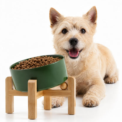Petygooing Black Raised/Elevated 15°Slanted Ceramic Dog Bowl for Small Breeds,Tilted Anti Slip Pet Feeding Bowl,Food Water Dish with Stand for Cats and Small Dogs Puppy 13.5 OZ (5.1In /1.7 Cups)