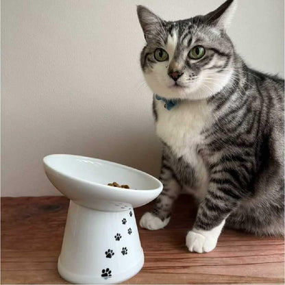 Necoichi Ceramic Elevated Cat Food Bowl, 15° Tilted (Cat, Extra Wide Tilted)