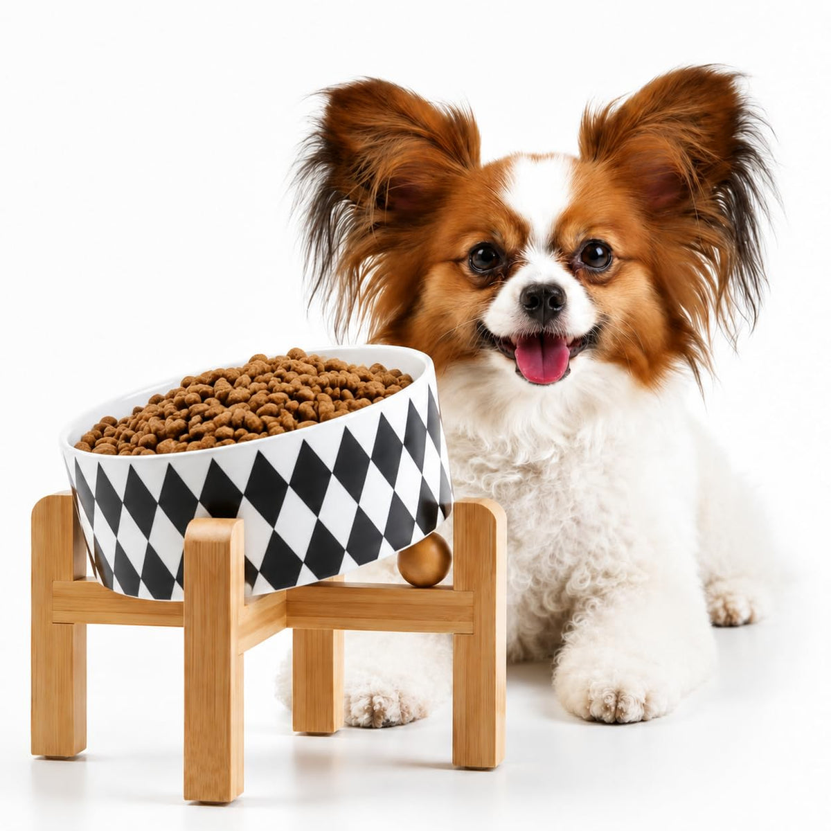 Petygooing Black Raised/Elevated 15°Slanted Ceramic Dog Bowl for Small Breeds,Tilted Anti Slip Pet Feeding Bowl,Food Water Dish with Stand for Cats and Small Dogs Puppy 13.5 OZ (5.1In /1.7 Cups)