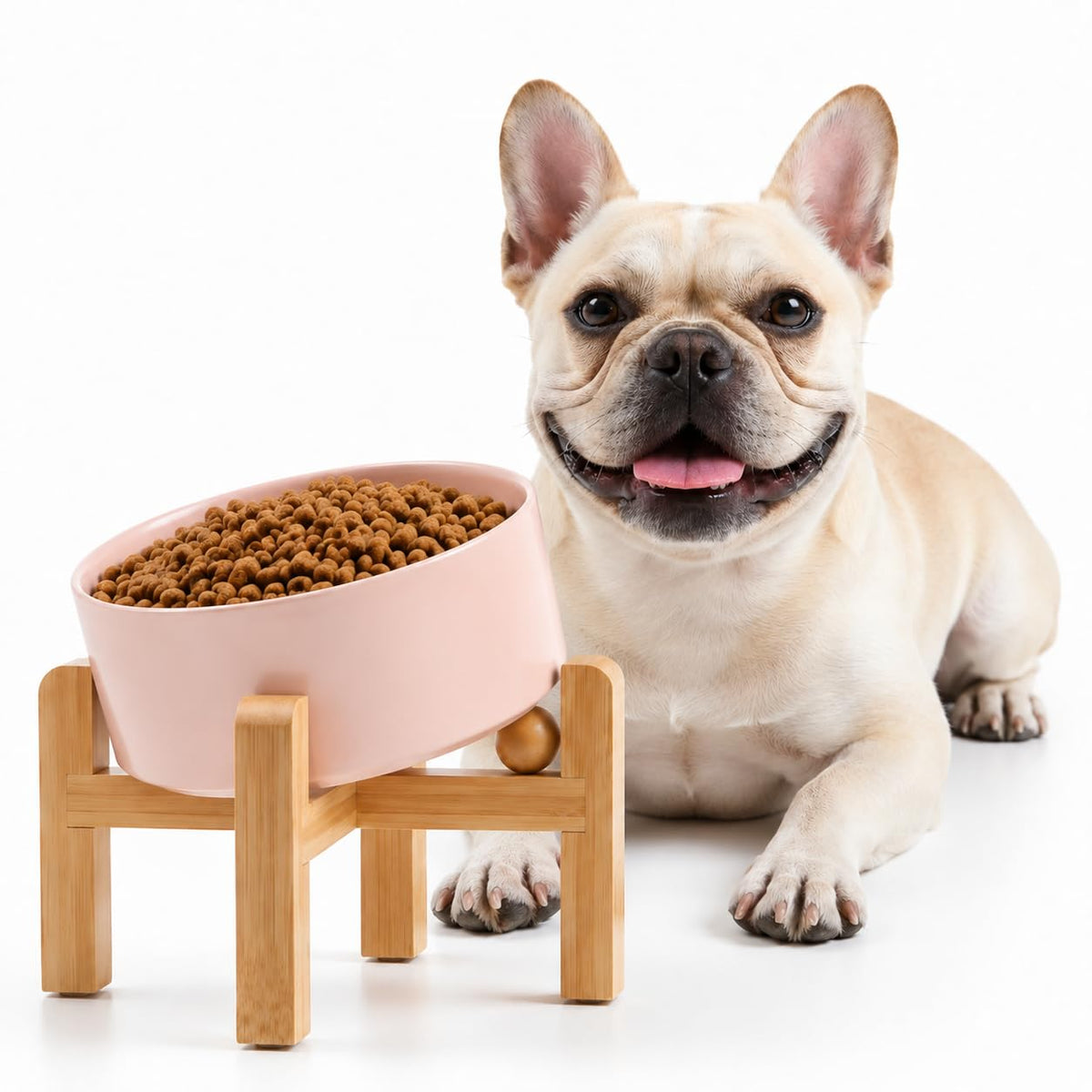Petygooing Black Raised/Elevated 15°Slanted Ceramic Dog Bowl for Small Breeds,Tilted Anti Slip Pet Feeding Bowl,Food Water Dish with Stand for Cats and Small Dogs Puppy 13.5 OZ (5.1In /1.7 Cups)