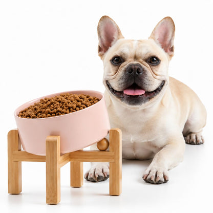 Petygooing Black Raised/Elevated 15°Slanted Ceramic Dog Bowl for Small Breeds,Tilted Anti Slip Pet Feeding Bowl,Food Water Dish with Stand for Cats and Small Dogs Puppy 13.5 OZ (5.1In /1.7 Cups)