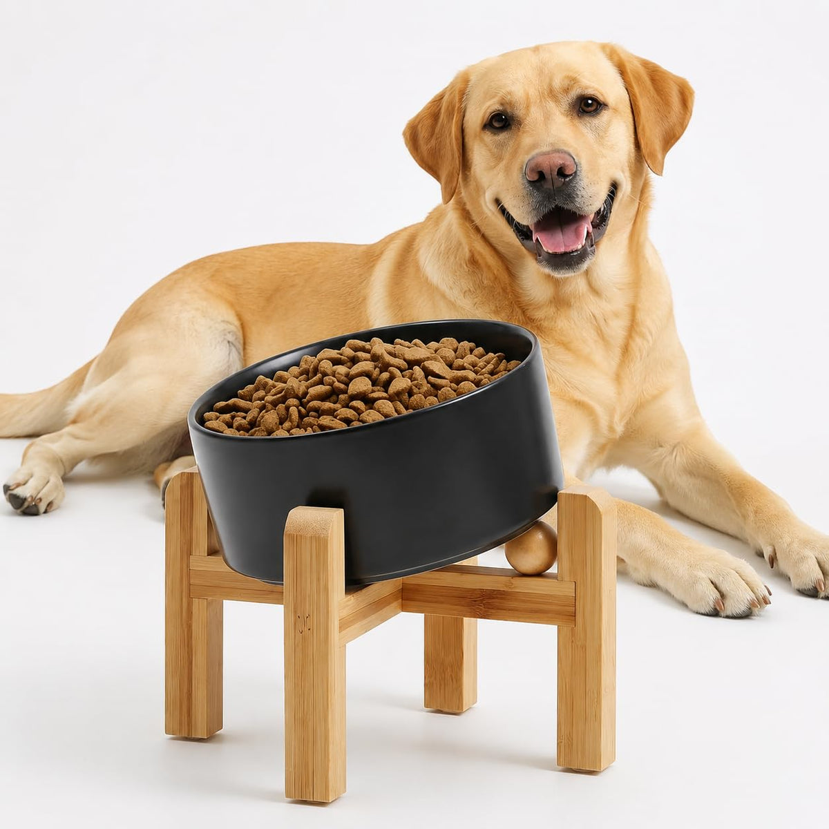 Petygooing Black Raised/Elevated 15°Slanted Ceramic Dog Bowl for Small Breeds,Tilted Anti Slip Pet Feeding Bowl,Food Water Dish with Stand for Cats and Small Dogs Puppy 13.5 OZ (5.1In /1.7 Cups)