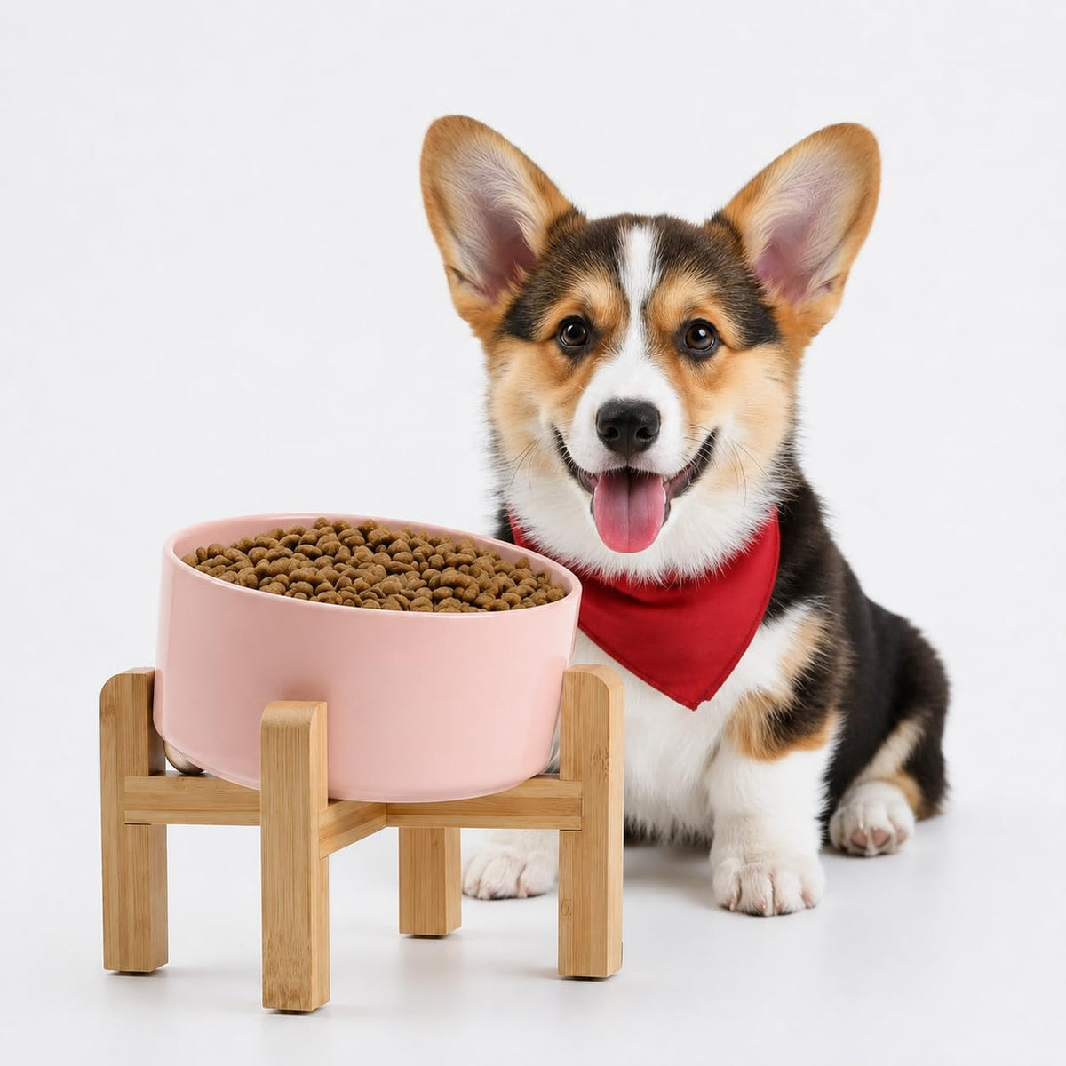 Petygooing Black Raised/Elevated 15°Slanted Ceramic Dog Bowl for Small Breeds,Tilted Anti Slip Pet Feeding Bowl,Food Water Dish with Stand for Cats and Small Dogs Puppy 13.5 OZ (5.1In /1.7 Cups)