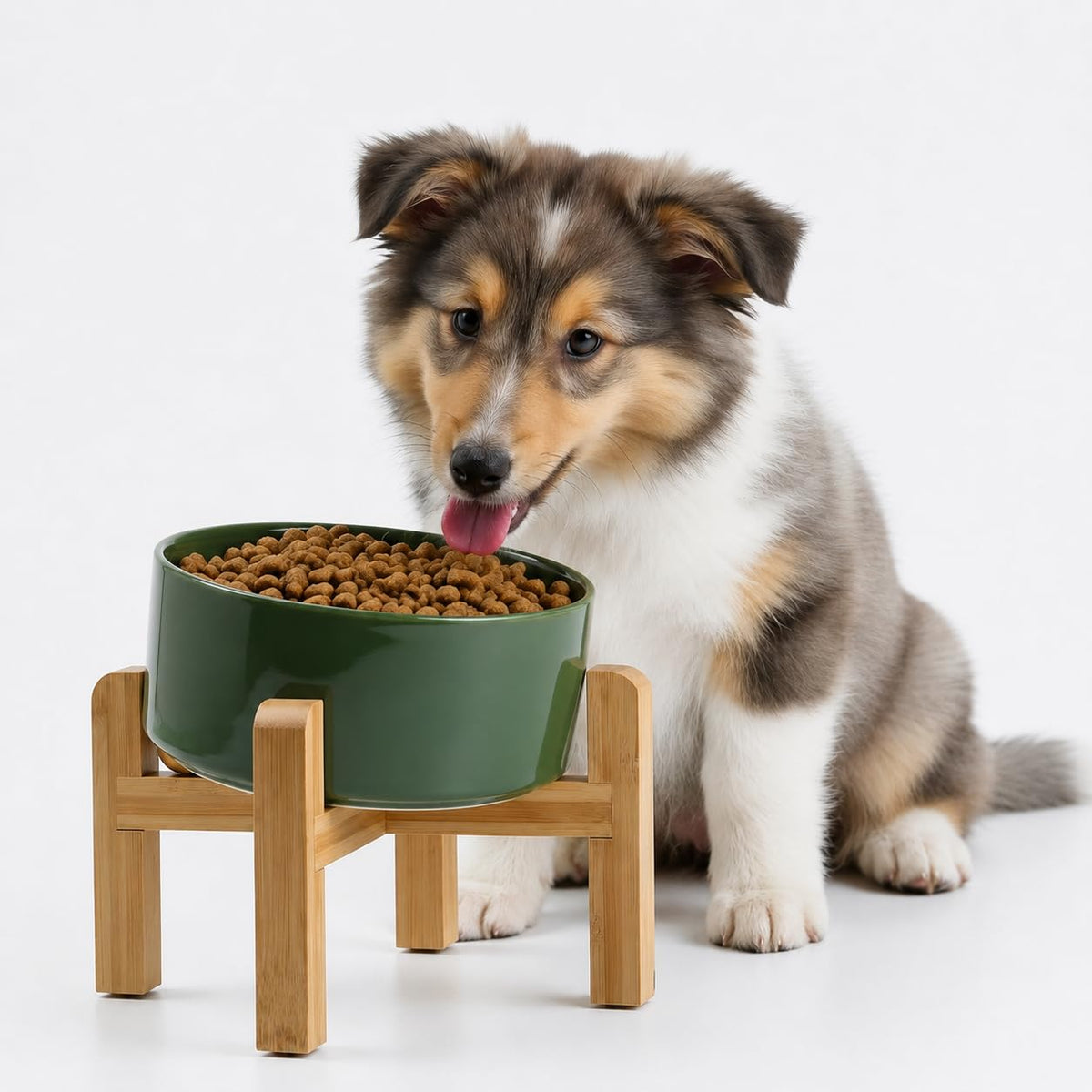 Petygooing Black Raised/Elevated 15°Slanted Ceramic Dog Bowl for Small Breeds,Tilted Anti Slip Pet Feeding Bowl,Food Water Dish with Stand for Cats and Small Dogs Puppy 13.5 OZ (5.1In /1.7 Cups)