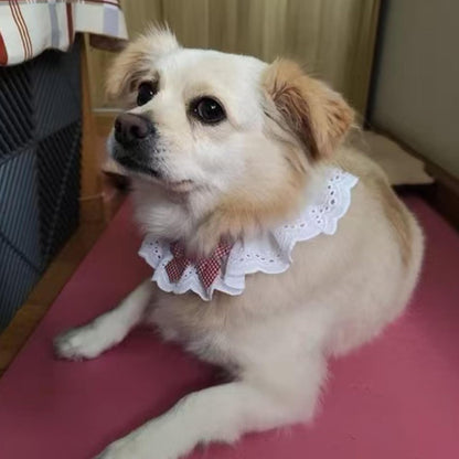 6PCS Pet Lace Bib, Sweet Cat Bandana with Bow, Cotton Dog Saliva Towel, Cute Round Neck Scarf for Kitty Puppy Extra Small Dog (Large)