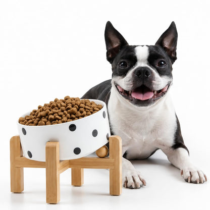 Petygooing Black Raised/Elevated 15°Slanted Ceramic Dog Bowl for Small Breeds,Tilted Anti Slip Pet Feeding Bowl,Food Water Dish with Stand for Cats and Small Dogs Puppy 13.5 OZ (5.1In /1.7 Cups)