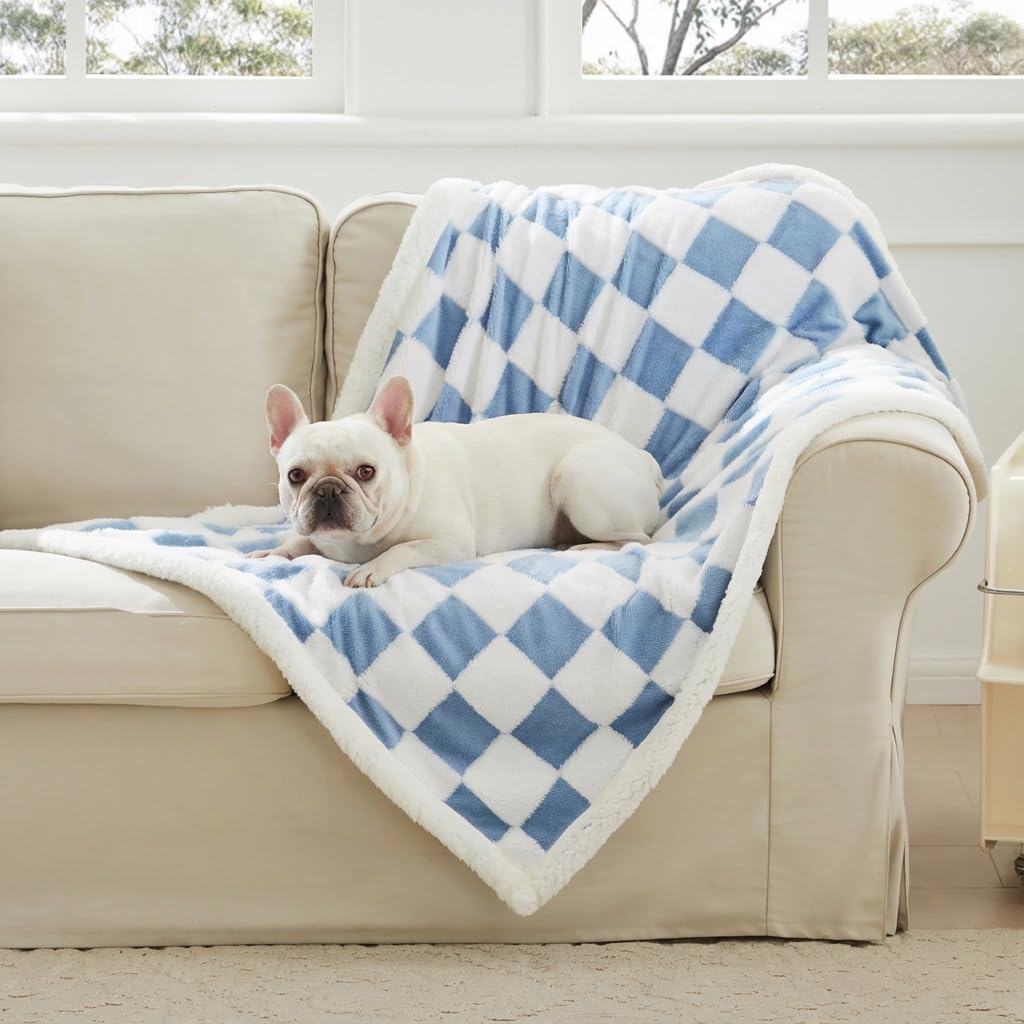 Ohocut Checkered Dog Blanket, Sage Green Jacquard Sherpa Blankets for Small Dog and Cats, Cute Aesthetic Style Fluffy Fleece Pets Blanket for Couch Protection Washable, 25"x35"