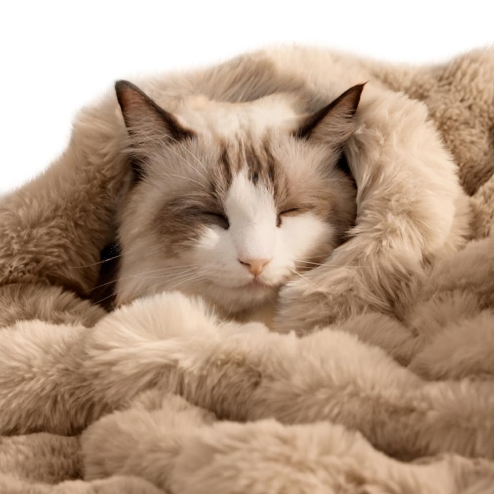 SOMAHE Soft Faux Fur Cat Blanket, Washable, Small 22x18 Fruit Green