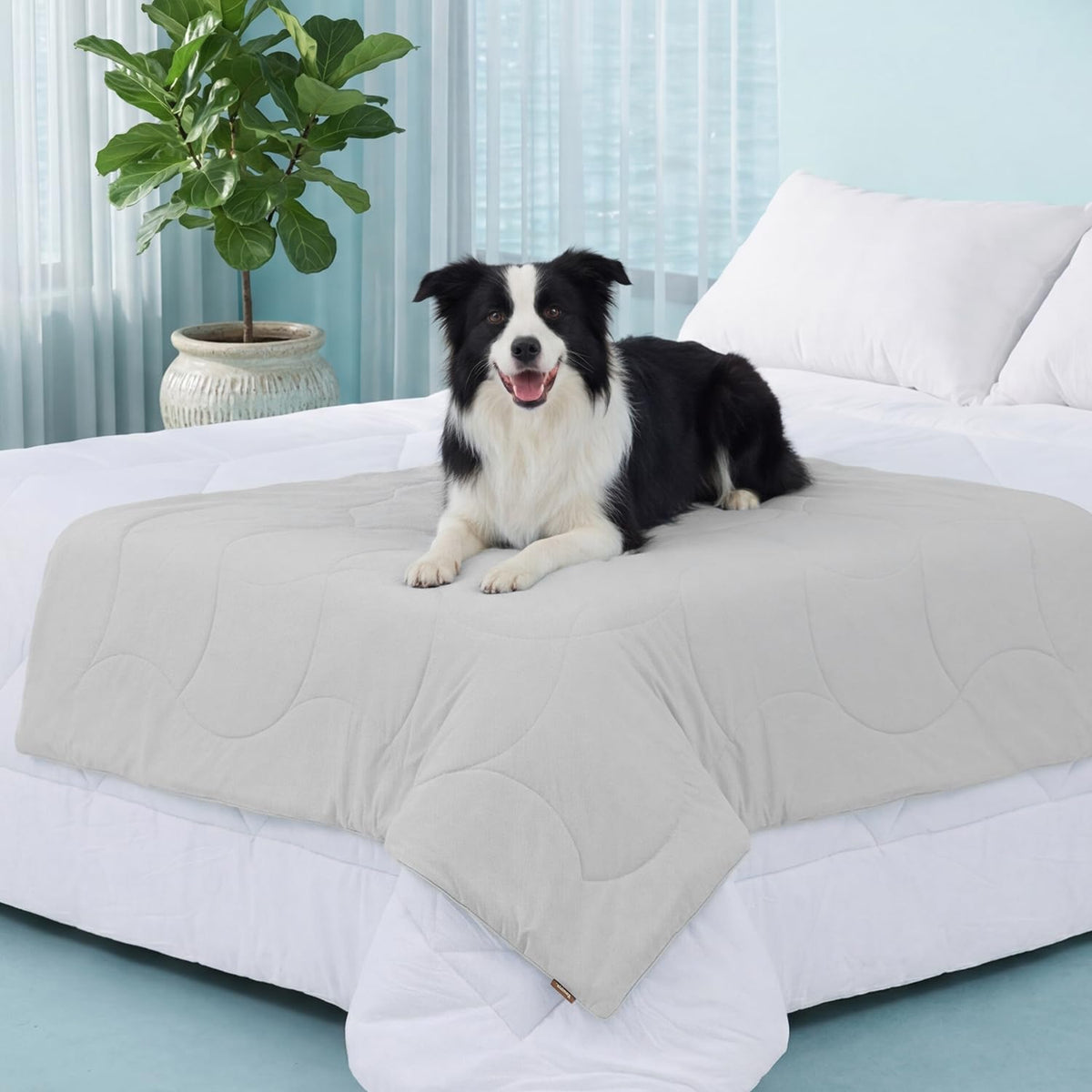 ZOMISIA Premium Cooling Blanket for Large Dogs - Q-MAX>0.5 Breathable Washable Dog Cooling Mat, Travel Soft Pet Summer Essentials, Blue, 40"x50"
