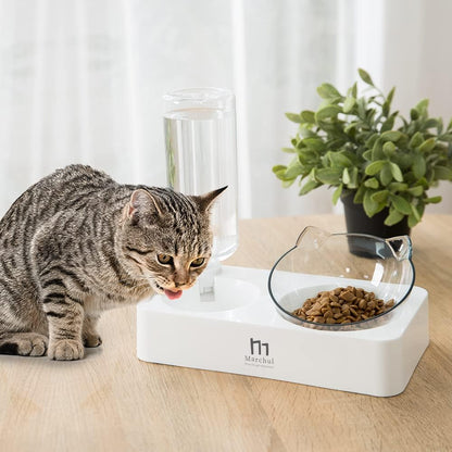 Marchul Double Elevated Dog Cat Bowl, Pets Water and Food Bowl Set, 15° Raised Tilted Dishes Indoor for Kitten, Puppies, Small or Medium Size Dogs Cats