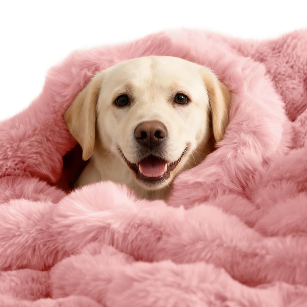 SOMAHE Soft Faux Fur Cat Blanket, Washable, Small 22x18 Fruit Green