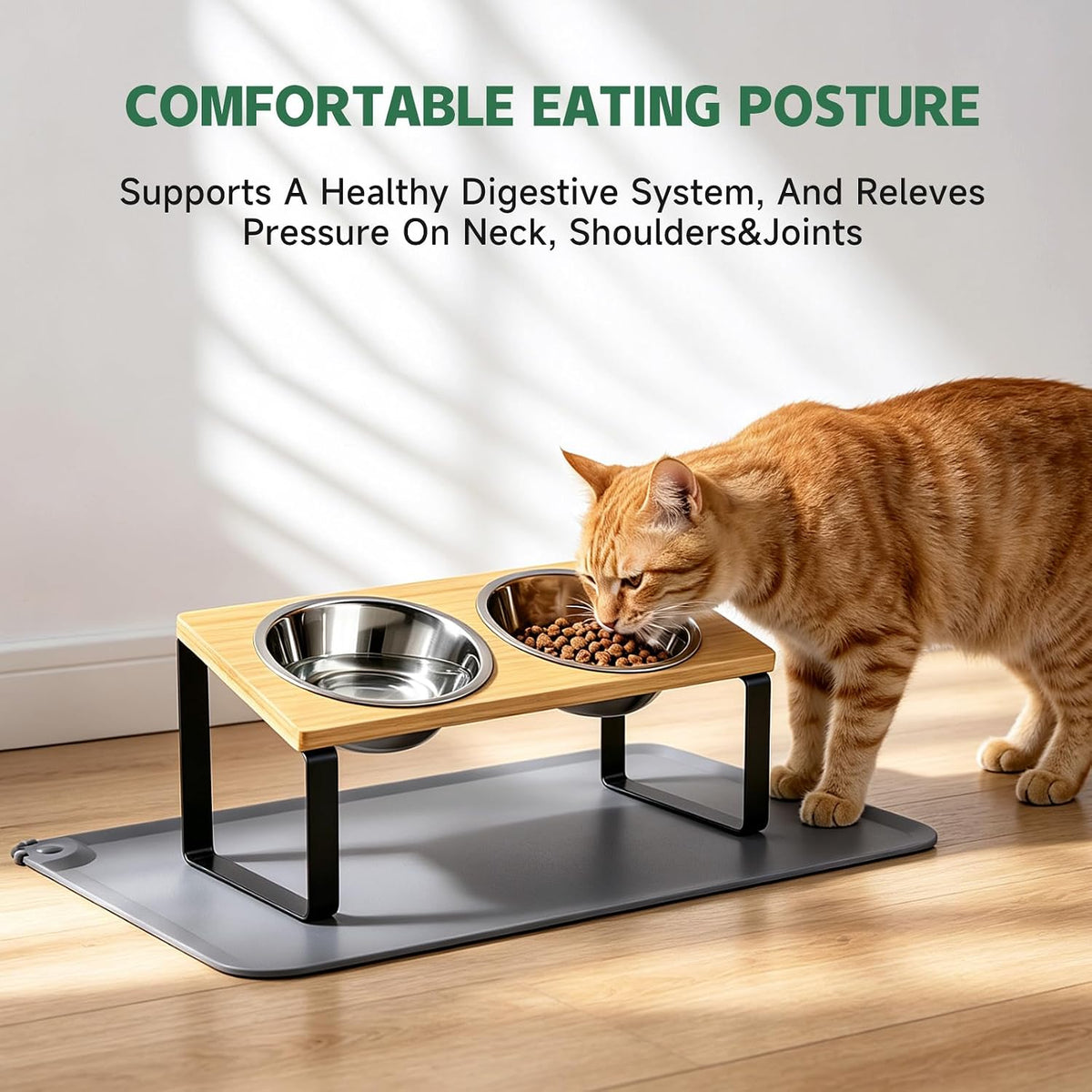 Elevated Tilted Cat Food Bowls with Mat, 304 Stainless Steel 2 Water Bowls