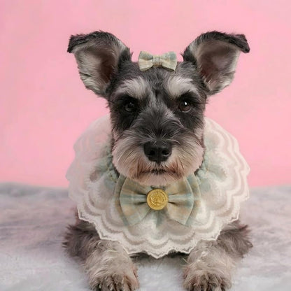 Handmade Cat Bandana with Bowtie - Khaki Plaid Boho Pet Collar Scarf for Birthday, Party, Photoshoot - Adjustable Bib Outfit for Small Dogs, Puppies, Cats, Kittens, and Rabbits